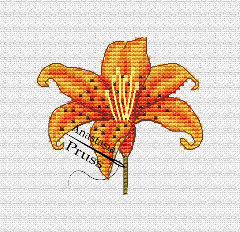 tiger lily press patterns Tiger Lily