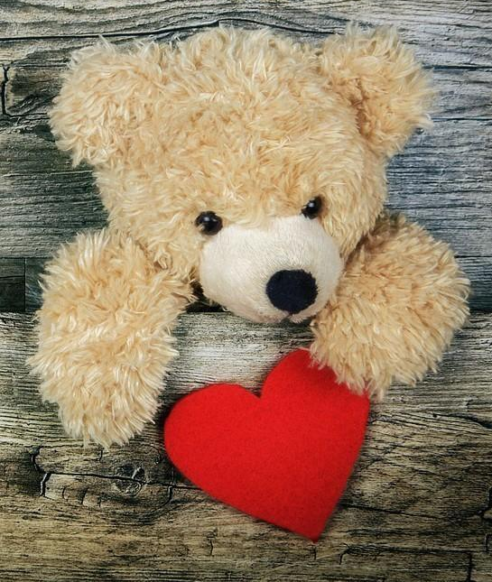 Valentine’s Day Gifts Should Prioritize Experience Over Expense: Argue Using the Case for DIY Kits