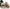 Christmas Village - Decorative Holiday Collection