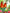 Bird paint by numbers kits collection