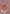 Autumn's Whisper - PDF Cross Stitch Pattern
