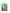 Gobelin canvas for halfstitch without yarn Water Lily