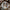Australian Shepherd - PDF Cross Stitch Pattern