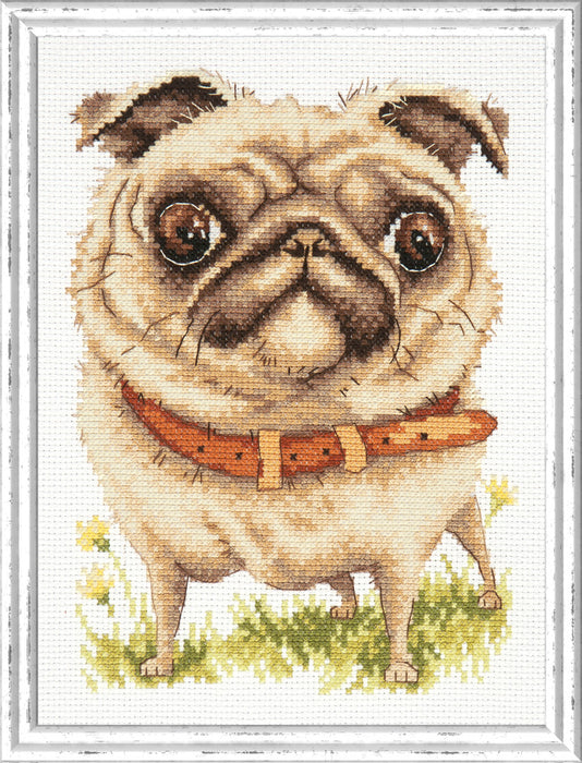 Pug-dog 16-17 Counted Cross-Stitch Kit