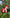 Christmas horse FN-137 DIY felt kit - photo 3