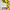 Yellow Birthday Party Balloon Set F07M2-30 EMB0125