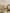 14 count Light Mocha Aida Cloth by Zweigart 3706/309, precut cross stitch fabric draped beside a wooden embroidery hoop