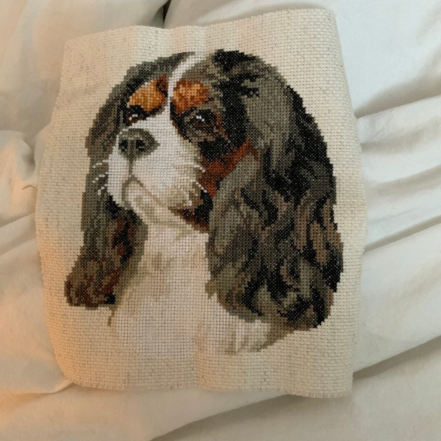 Cavalier king charles spaniel 3 - PDF Cross Stitch Pattern