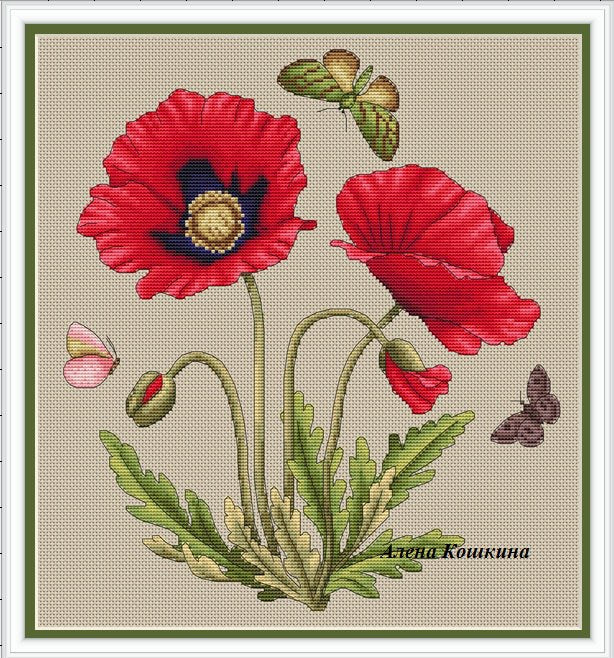 Poppy - PDF Cross Stitch Pattern