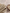 16 count Vintage Country Mocha Aida Cloth by Zweigart 3251/3009, precut cross stitch fabric draped beside a wooden embroidery hoop