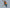 Bee Eater - PDF Cross Stitch Pattern
