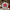 Poinsettia - PDF Cross Stitch Pattern