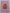 The Pumpkin - PDF Cross Stitch Pattern