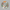 Strawberry Harvest - PDF Cross Stitch Pattern