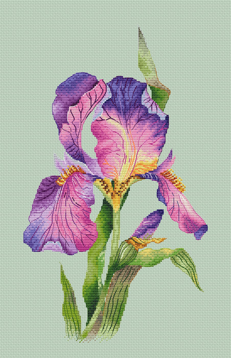 Lilac Iris - PDF Cross Stitch Pattern