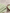 32 count Light Green Belfast Linen by Zweigart 3609/6083, precut cross stitch fabric draped beside a wooden embroidery hoop