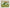 A family of geese M-0414 cross stitch kit