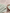 18 count Light Green Aida Cloth by Zweigart 3793/611, precut cross stitch fabric draped beside a wooden embroidery hoop