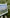 The Dawn of a New Day M-0274 cross stitch kit