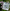 Pantone Blue Bell - PDF Cross Stitch Pattern