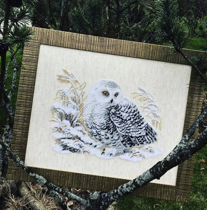 White Owl R1241 Counted Cross Stitch Kit