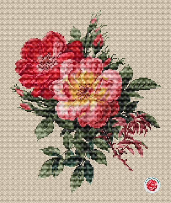 Two Roses - PDF Cross Stitch Pattern