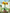 Sunflower Building Brick Potted Flower F07M9-9(101)