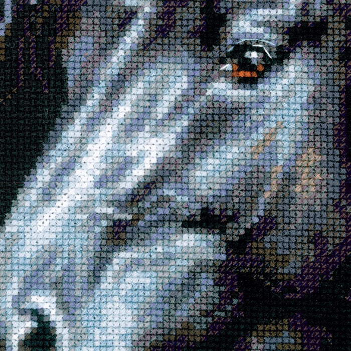 Breeze Through Mane R1494 Counted Cross Stitch Kit