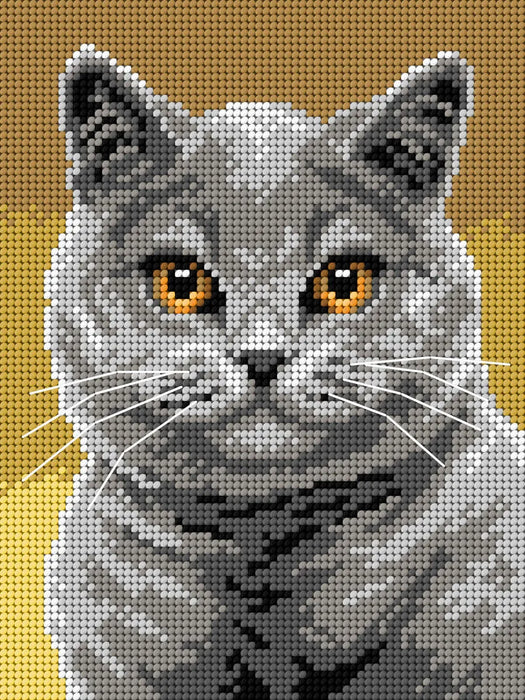 Needlepoint canvas for halfstitch without yarn British Shorthair 3356F