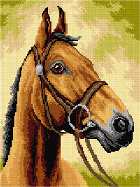 Gobelin canvas for halfstitch without yarn Horse 3593J