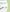 32-Count Light Green Precut Belfast Cross Stitch Fabric by Zweigart 3609/6083