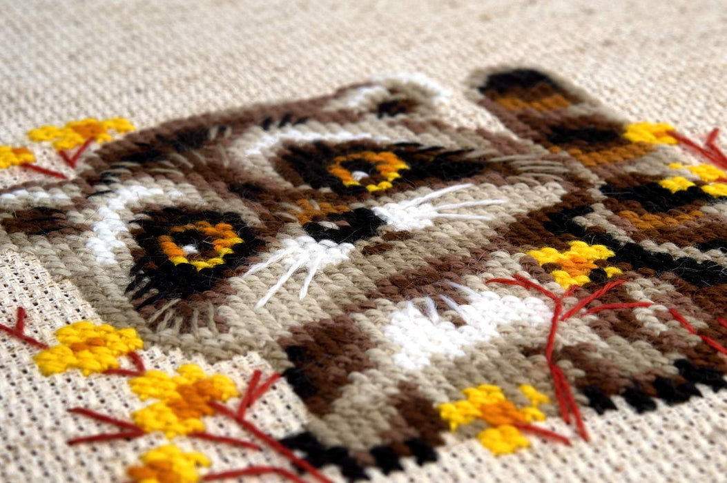 Little Raccoon R1754 Counted Cross Stitch Kit