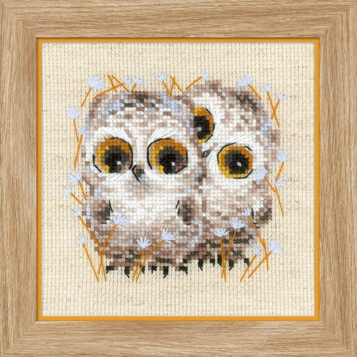 Little Owls R1755 Counted Cross Stitch Kit