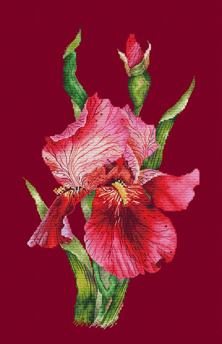 Scarlet Iris - PDF Cross Stitch Pattern