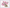 Southern Magnolia R2018 Counted Cross Stitch Kit