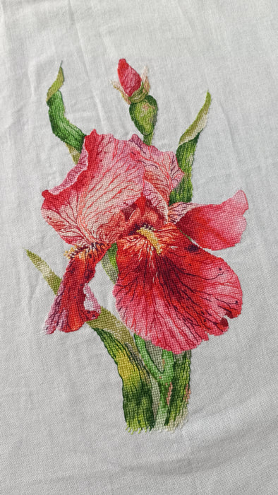 Scarlet Iris - PDF Cross Stitch Pattern