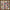 Sampler. Royal - PDF Cross Stitch Pattern