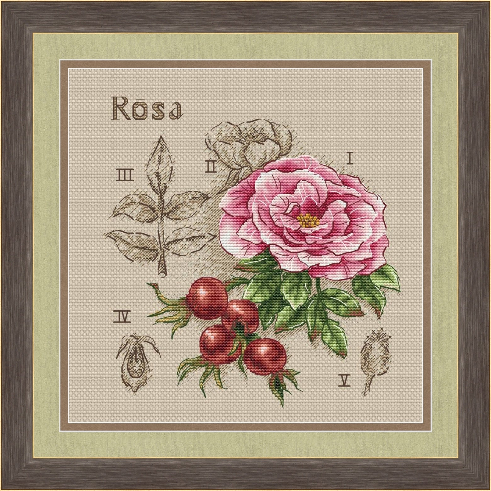 Retro Rosehip - PDF Cross Stitch Pattern – Wizardi