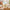 Midsummer 70-65 Counted Cross-Stitch Kit