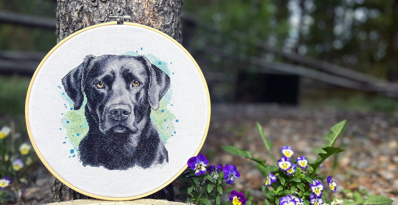 Black Labrador - PDF Cross Stitch Pattern