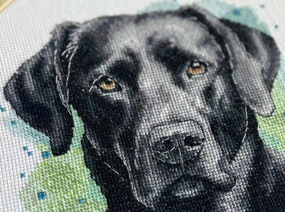 Black Labrador - PDF Cross Stitch Pattern