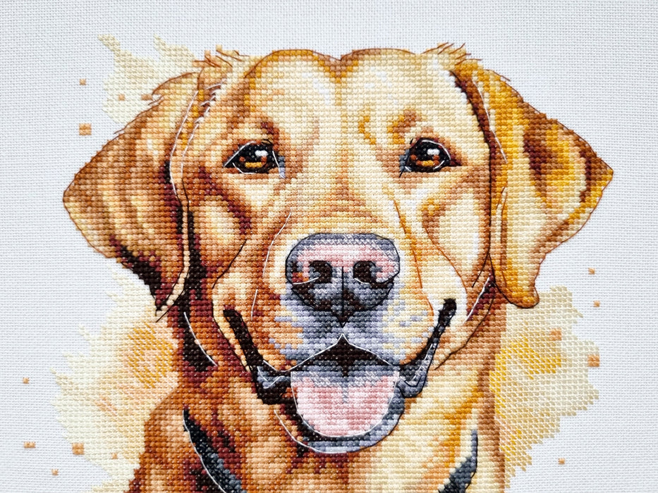 Yellow Labrador Comb - PDF Cross Stitch Pattern