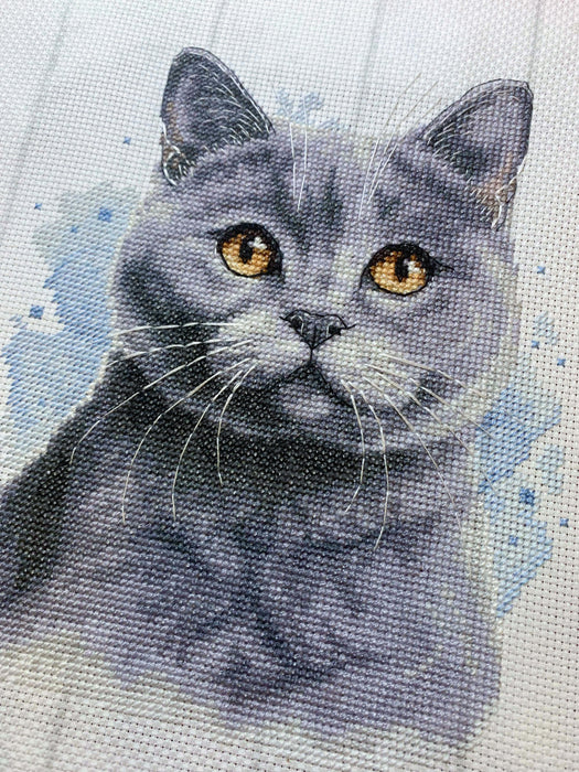 British Blue Shorthair - PDF Cross Stitch Pattern