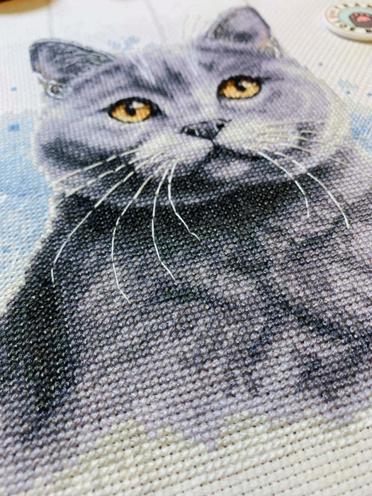 British Blue Shorthair - PDF Cross Stitch Pattern