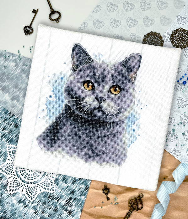 British Blue Shorthair - PDF Cross Stitch Pattern