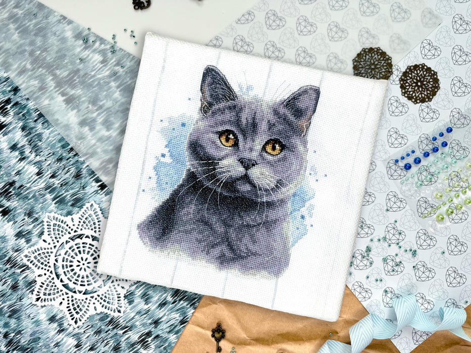 British Blue Shorthair - PDF Cross Stitch Pattern