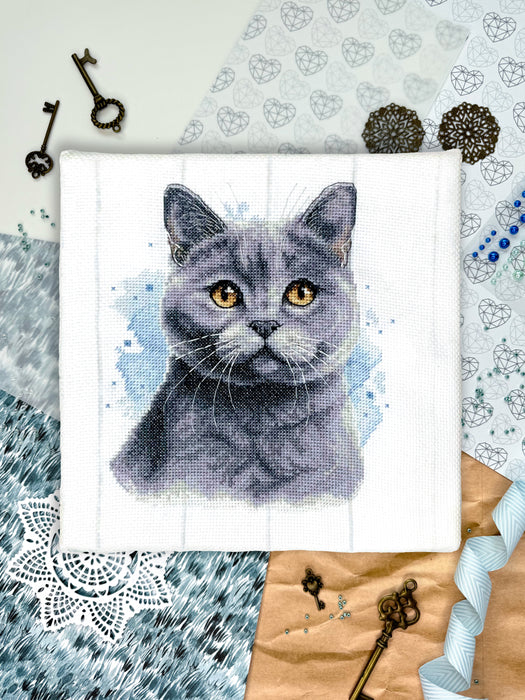 British Blue Shorthair - PDF Cross Stitch Pattern