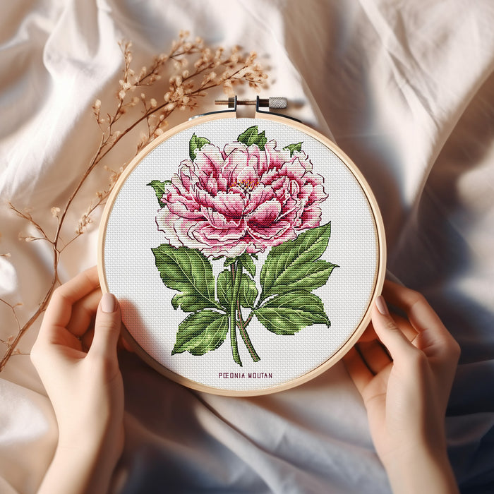 Peony Flower - PDF Cross Stitch Pattern