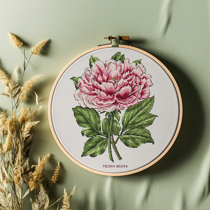 Peony Flower - PDF Cross Stitch Pattern