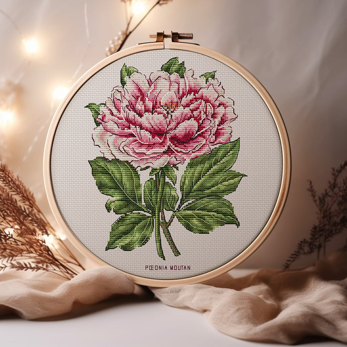 Peony Flower - PDF Cross Stitch Pattern